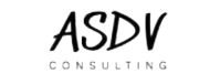 ASDV Consultant — ELV ICT Security Consultancy Ireland